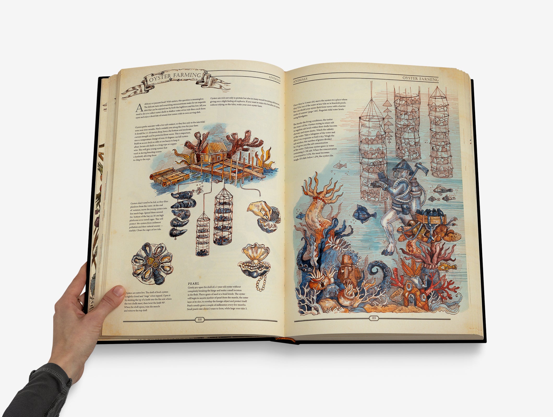 Curiosity Set: The Book & The Puzzle image #5