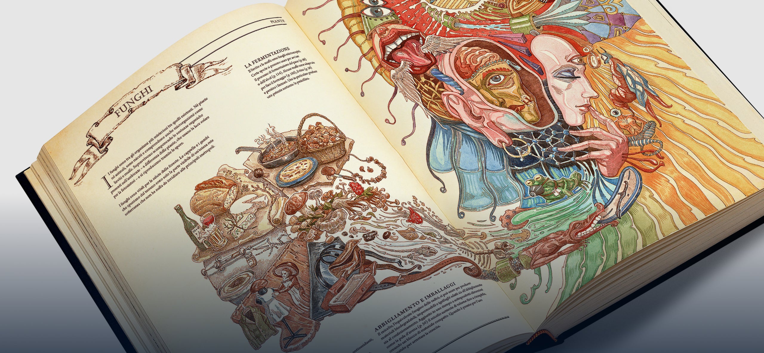 goditi the book