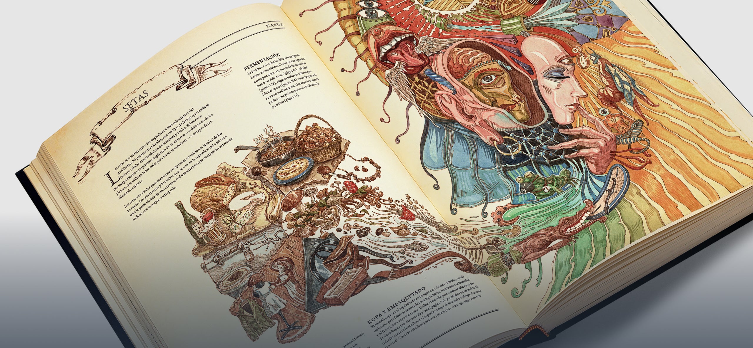 disfruta «the book»